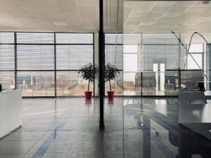 Modern open-plan office with frameless glass partition, natural light, and indoor plants in red pots.