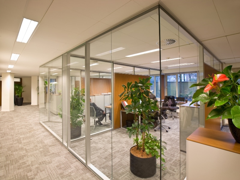 Office division walls enclosing modern workstations with indoor plants and soft lighting in a contemporary office layout